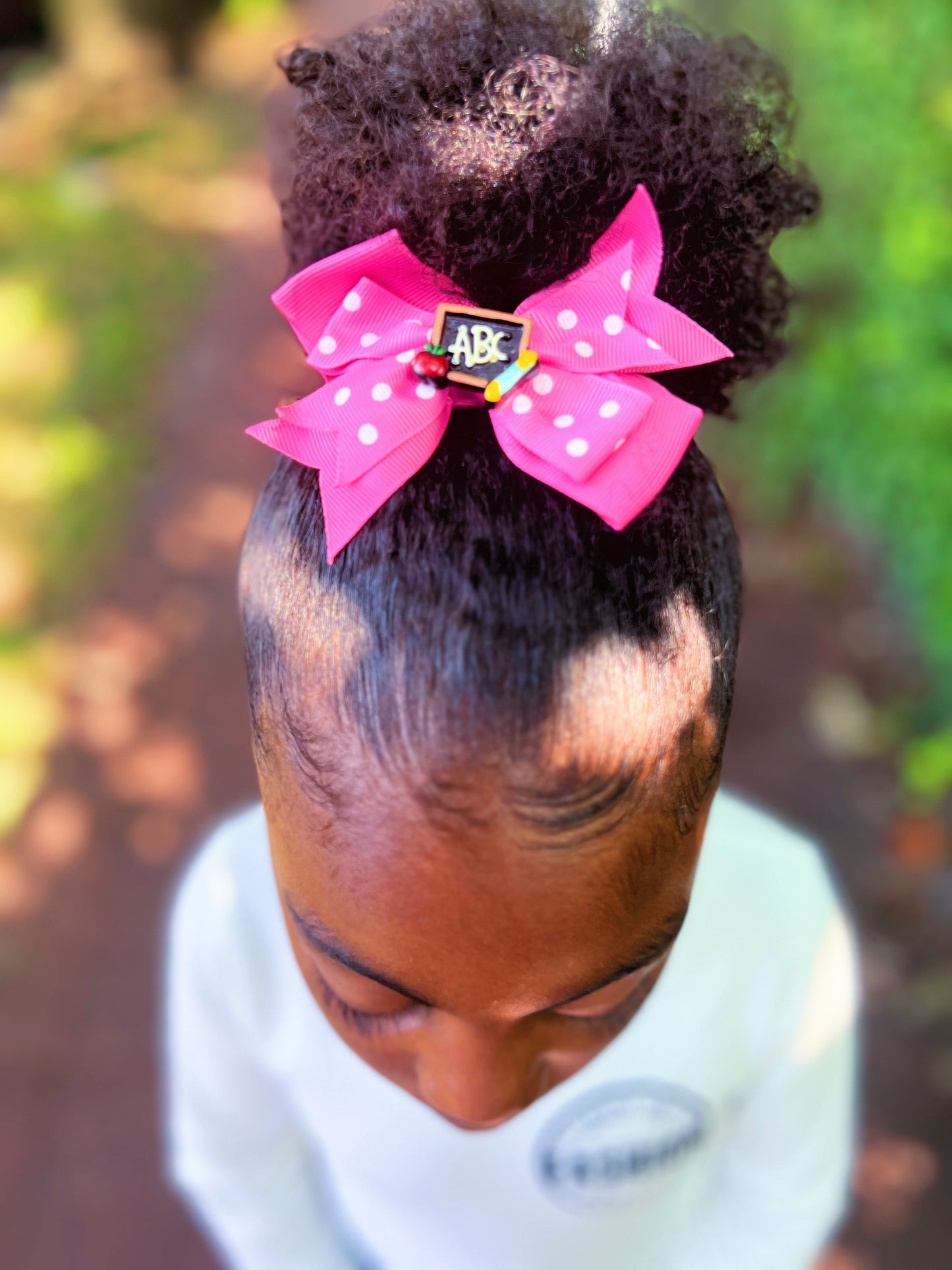 Pink Back To School Chalkboard Bow