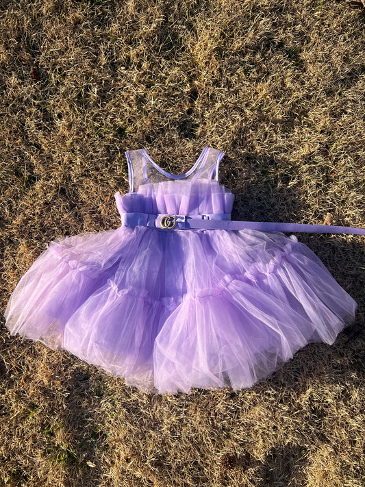 Shannon Purple TuTu Dress